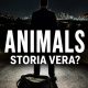 Animals è basato su una storia vera? Il legame con Kurosawa e la spiegazione del finale
